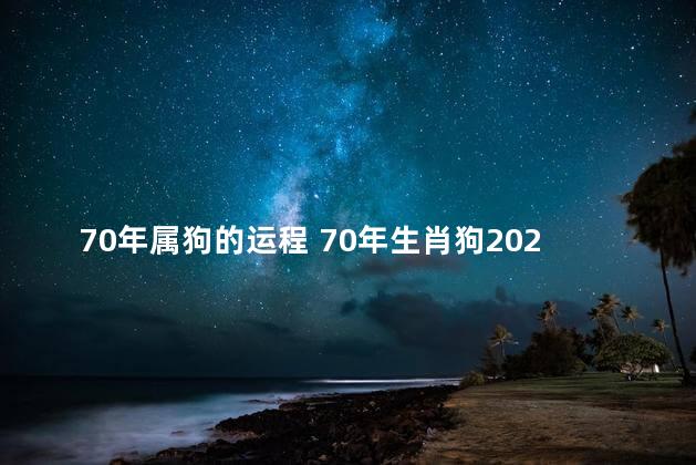 70年属狗的运程 70年生肖狗2023年运势及运程